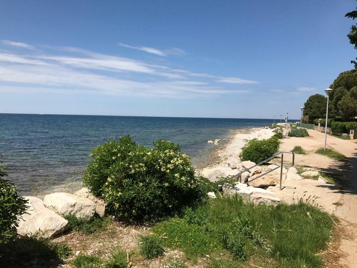 Todor Seaside Apartments Lovrečica 외부 사진